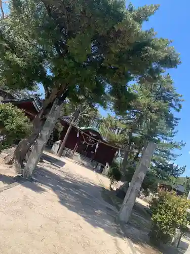 厳島神社の本殿