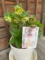 妙蓮寺(神奈川県)