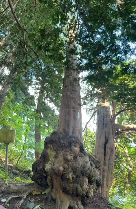 福島大神宮(北海道)