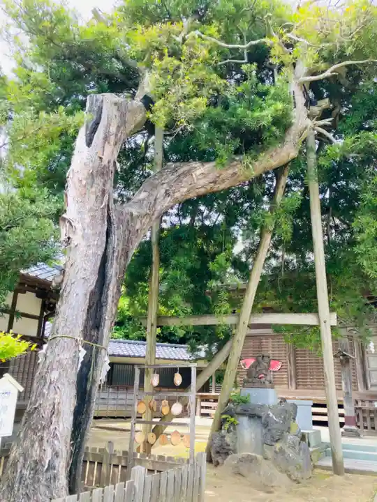 玉崎神社(千葉県)