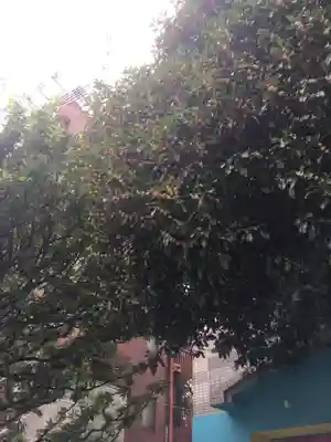 櫻田神社(東京都)