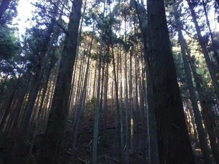 名草厳島神社(栃木県)