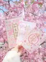 桜神宮の御朱印