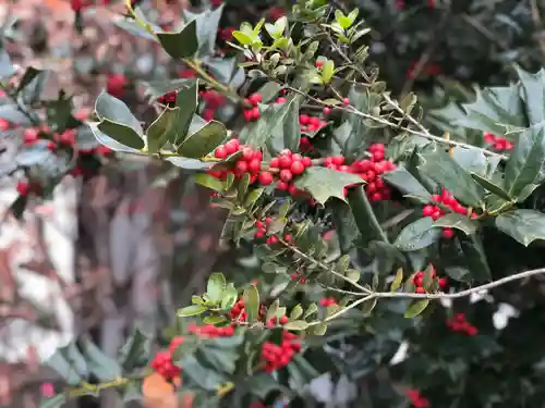 木舟山　順教寺の自然
