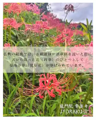 【公式】龍門院常楽寺（秩父札所十一番）(埼玉県)