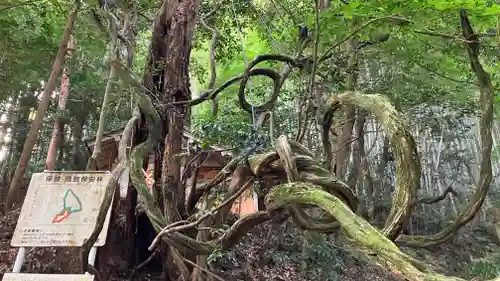 玉作湯神社の周辺