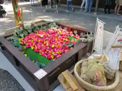 川越氷川神社(埼玉県)