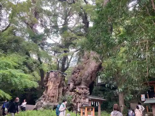 來宮神社(静岡県)