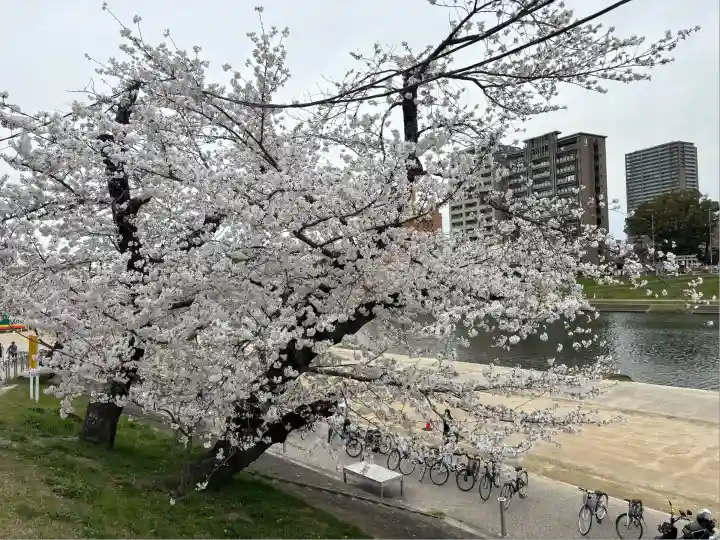 菅生神社(愛知県)