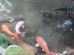 根津神社(東京都)