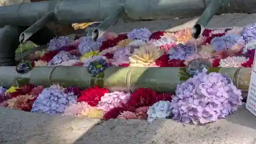 岡寺（龍蓋寺）(奈良県)