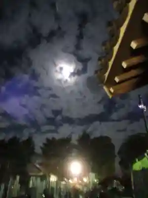 真光寺(千葉県)