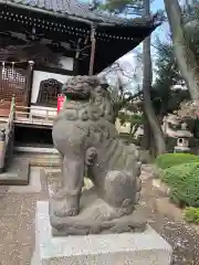 観音寺（世田谷山観音寺）の狛犬