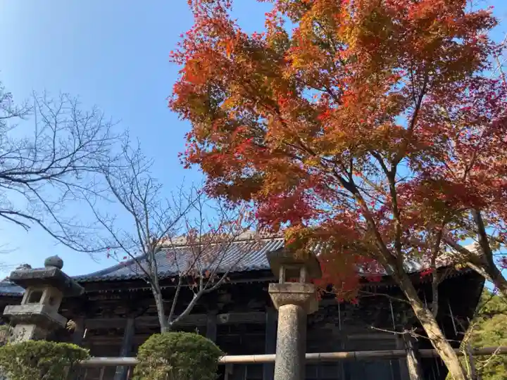 随願寺の本殿・本堂