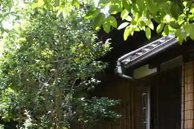 安養寺(京都府)