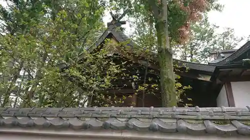 正ノ木稲荷 稲積神社の本殿