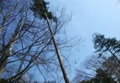 長沼神社(北海道)