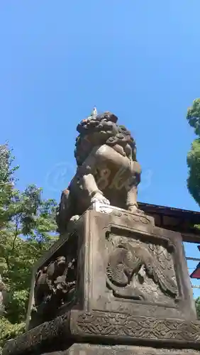 八坂神社(祇園さん)の狛犬