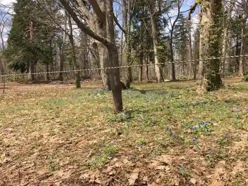 浦臼神社の庭園