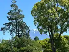 富士山本宮浅間大社(静岡県)