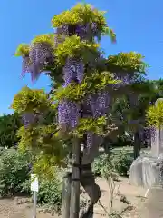 立岩寺の自然