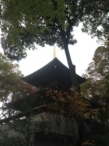 安養院の塔