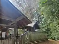 武州与野天祖神社の本殿・本堂