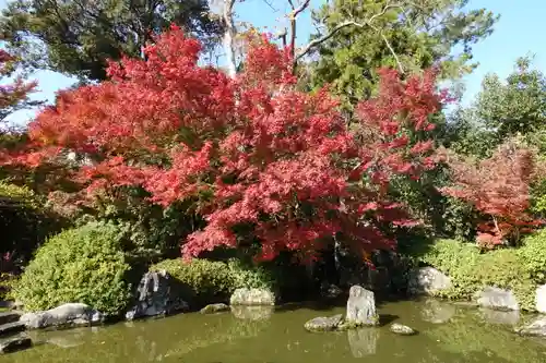 城南宮の庭園