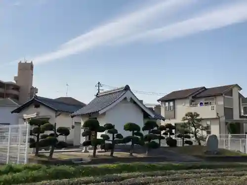 坂井住吉神社の本殿・本堂