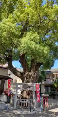 八坂神社(大阪府)