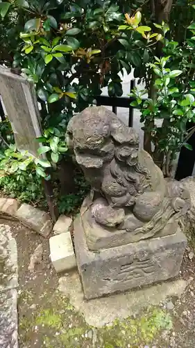 元赤城神社の狛犬