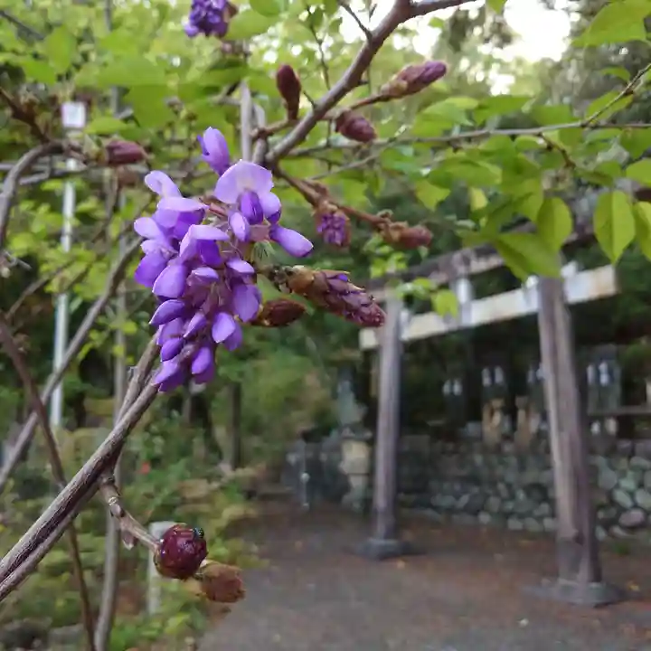 岐阜稲荷山本社(岐阜県)