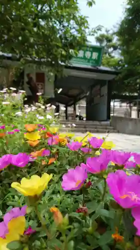 極楽寺（霊鷲山感應院極楽律寺）の庭園