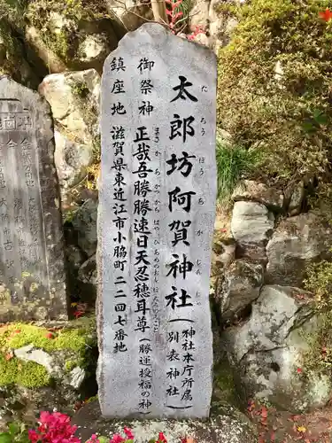 阿賀神社の建物その他