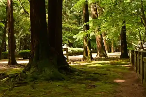 箸蔵寺(徳島県)