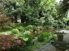 和樂備神社(埼玉県)