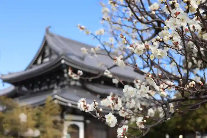 燈明寺(東京都)