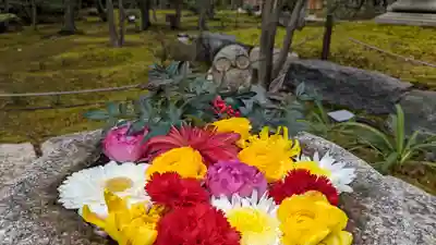 勝林寺(京都府)