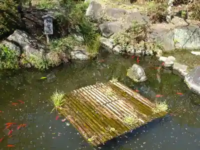 長谷寺(神奈川県)