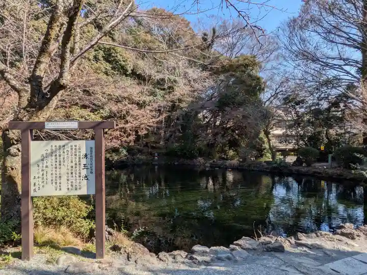 富士山本宮浅間大社(静岡県)