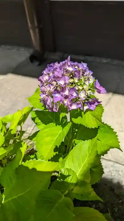 尊陽院(京都府)