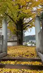 愛宕神社(福井県)