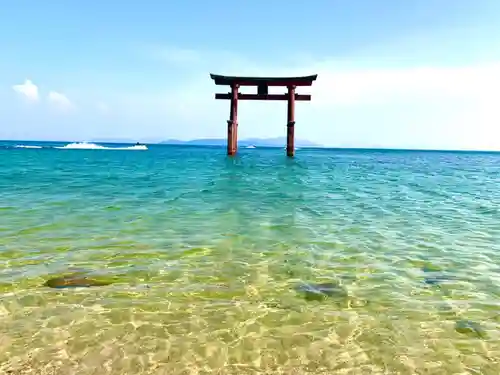 白鬚神社の鳥居