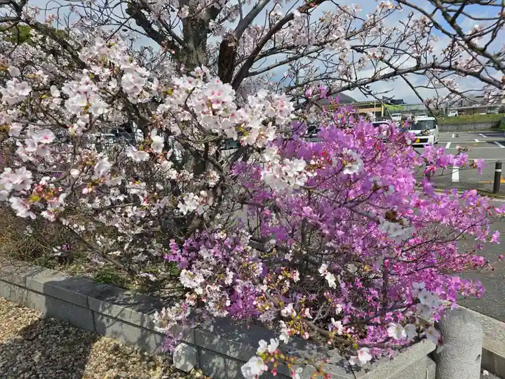 廣田神社(兵庫県)