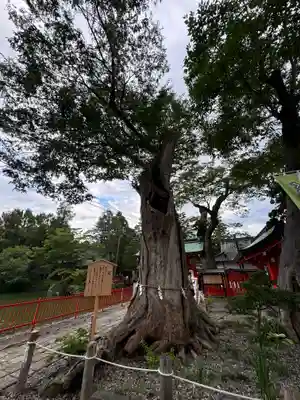 生島足島神社(長野県)