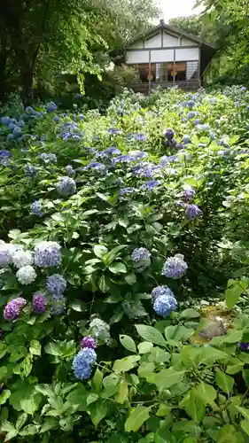 三千院門跡の庭園