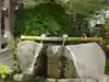 妙蓮寺の手水舎