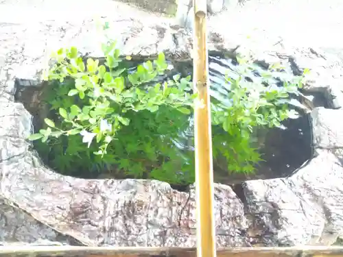 阿智神社の手水舎