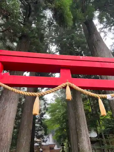 須山浅間神社の鳥居