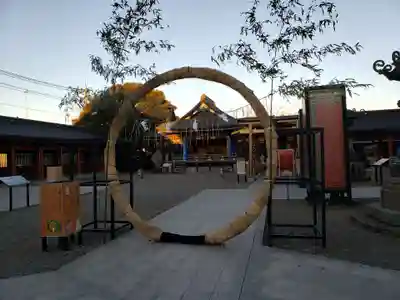 大杉神社(茨城県)